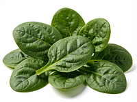 Baby spinach