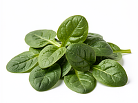 Baby spinach