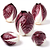 Radicchio (głowa)