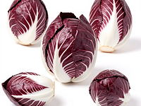 Radicchio (głowa)