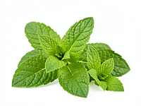 Świeże listki mięty (opcjonalnie do dekoracji)
