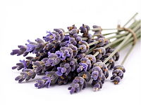 Lawenda kulinarna (suszone kwiaty)