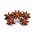 Star anise (optional)