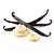 Vanilla (paste or extract)