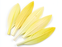 Yellow onion, sliced into feathers