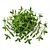 Fresh thyme (optional)