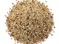 Quinoa (dry)