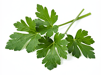 Świeża pietruszka (opcjonalnie, do dekoracji)