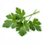 Fresh parsley (optional, for decoration)