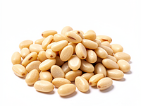 Orzechy pini (pinii)