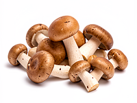 Mixed fresh mushrooms (button + wild)
