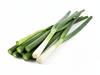 Drobna dymka (szczypior)