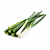 Chives