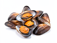 Cleaned mussels (mytilus)
