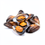 Cleaned mussels (mytilus)