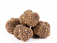Świeża trufla