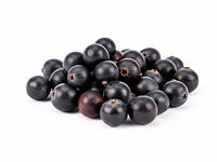 Jałowiec (jagody jałowca)