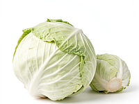 Fresh white cabbage
