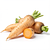 Parsnip (root parsley)