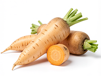 Parsnip (root parsley)