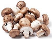 Świeże mieszane grzyby