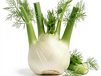 Fenkuł (koper włoski)