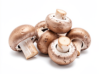 Podgrzybki (świeże lub mrożone)