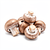 Boletus mushrooms (fresh or frozen)