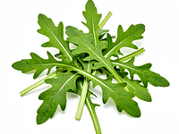 Fresh arugula