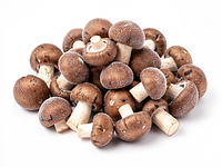 Forest mushroom mix (frozen or fresh)