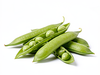 Fresh broad beans