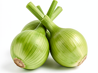 Szalotka / zielona cebulka