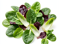 Winter salad mix (spinach, lamb's lettuce, endive)