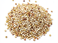 dry quinoa