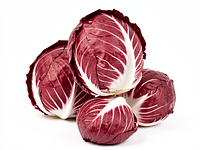 Czerwona cykoria (radicchio)