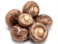 Shitake (świeże)