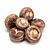 Shiitake (fresh)