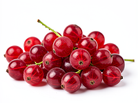 Red currants (fresh or frozen)