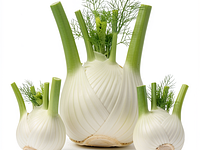 Fennel (bulb)