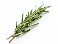 Rosemary sprig (for decoration, optional)