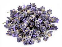 Dried lavender (flower, culinary)