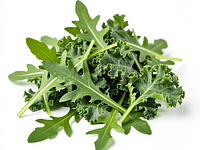 Arugula and young kale mix