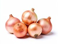 Szalotka (cebula szalotka)