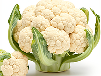 Cauliflower (head)