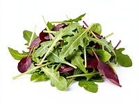 Mieszanka sałat młodych