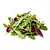 Young salad mix