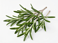 Fresh rosemary sprigs