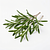 Fresh rosemary sprigs