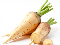 Pasternak (korzeń pietruszki lub pasternak)