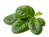 Fresh spinach (baby)